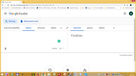 Google Fordító .